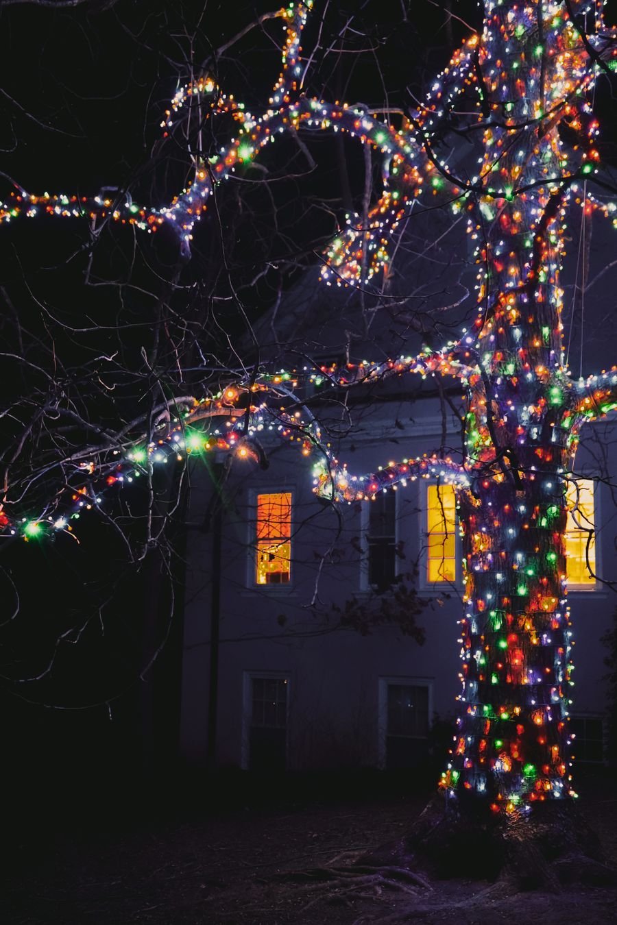 Home with a custom full Christmas light display