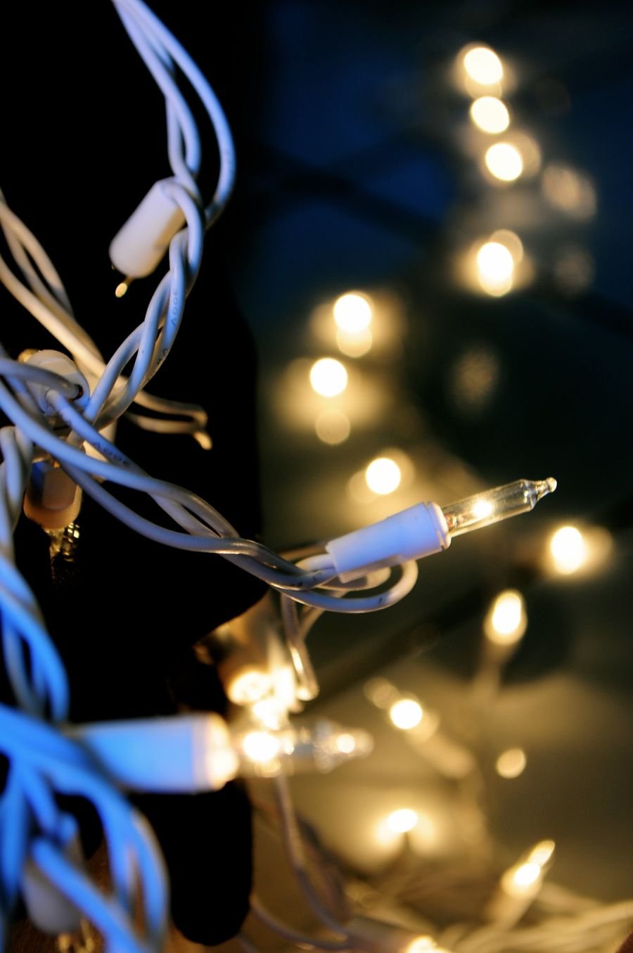 Strands of Christmas string lights